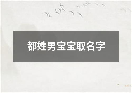 都姓男宝宝取名字