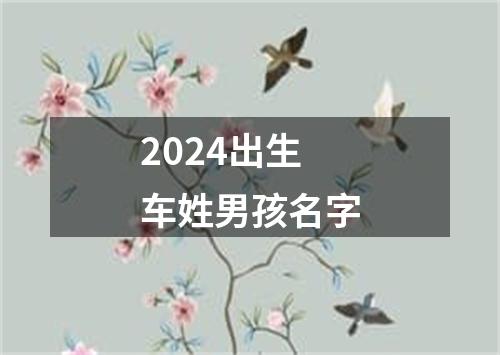 2024出生车姓男孩名字