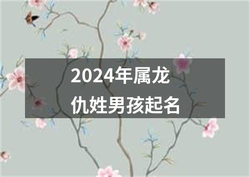 2024年属龙仇姓男孩起名