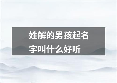 姓解的男孩起名字叫什么好听