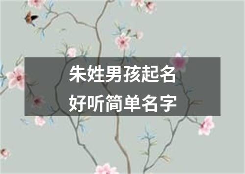 朱姓男孩起名好听简单名字