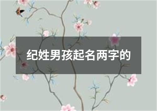 纪姓男孩起名两字的