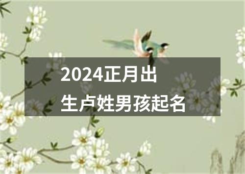 2024正月出生卢姓男孩起名