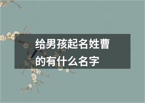 给男孩起名姓曹的有什么名字