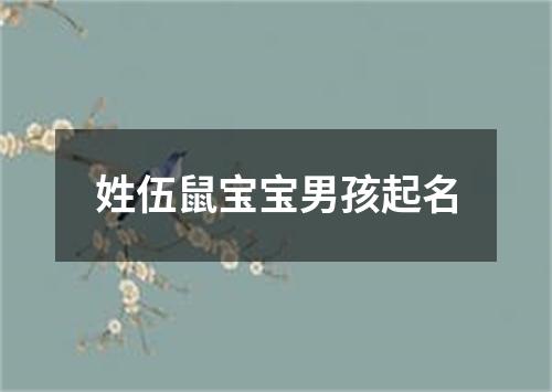 姓伍鼠宝宝男孩起名