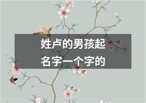 姓卢的男孩起名字一个字的