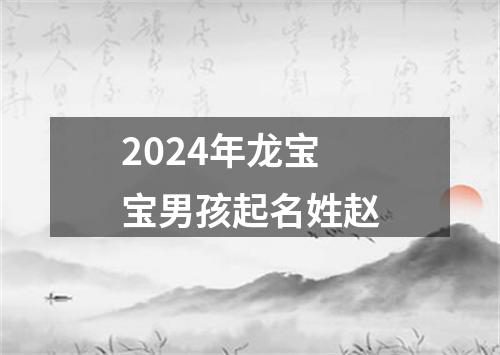 2024年龙宝宝男孩起名姓赵