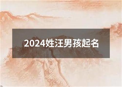 2024姓汪男孩起名