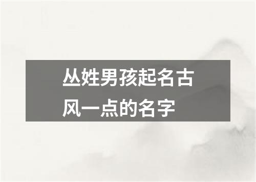 丛姓男孩起名古风一点的名字