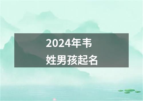 2024年韦姓男孩起名