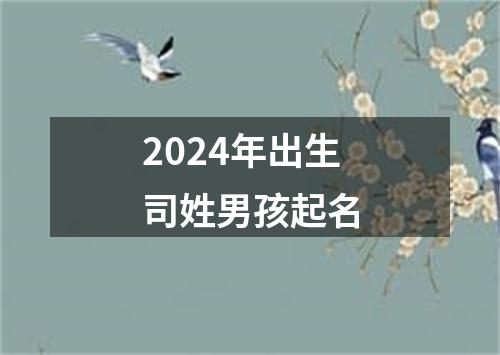 2024年出生司姓男孩起名