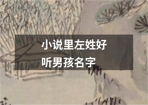 小说里左姓好听男孩名字