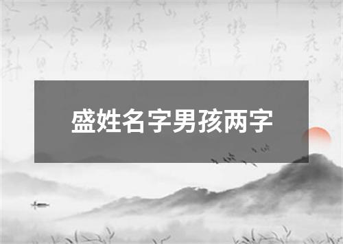 盛姓名字男孩两字