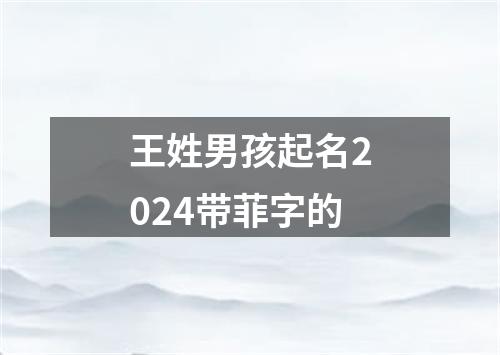 王姓男孩起名2024带菲字的