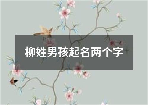 柳姓男孩起名两个字