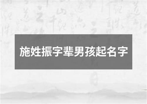 施姓振字辈男孩起名字