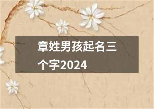 章姓男孩起名三个字2024