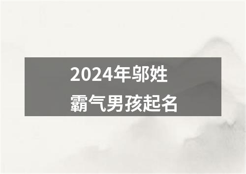 2024年邬姓霸气男孩起名