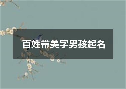 百姓带美字男孩起名