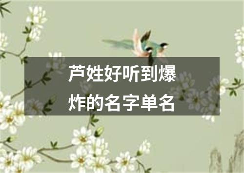 芦姓好听到爆炸的名字单名