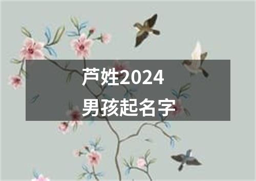 芦姓2024男孩起名字