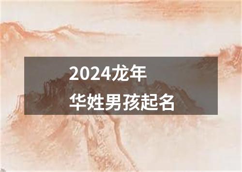 2024龙年华姓男孩起名