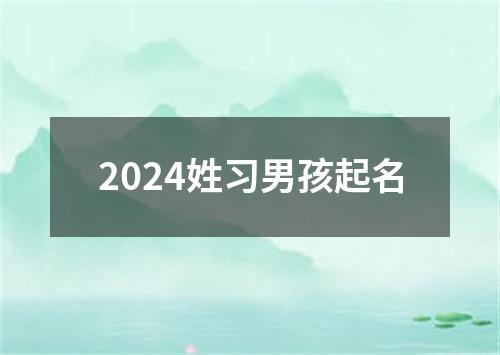 2024姓习男孩起名