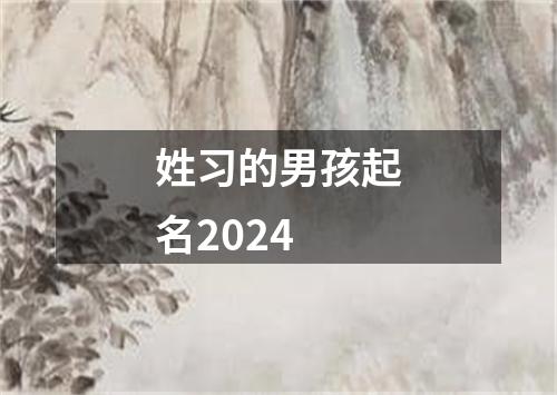 姓习的男孩起名2024