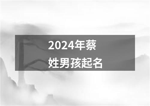 2024年蔡姓男孩起名