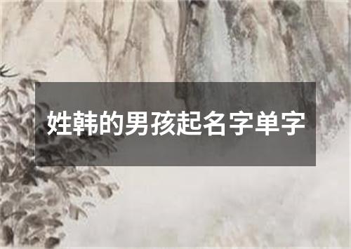 姓韩的男孩起名字单字