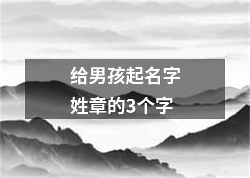 给男孩起名字姓章的3个字