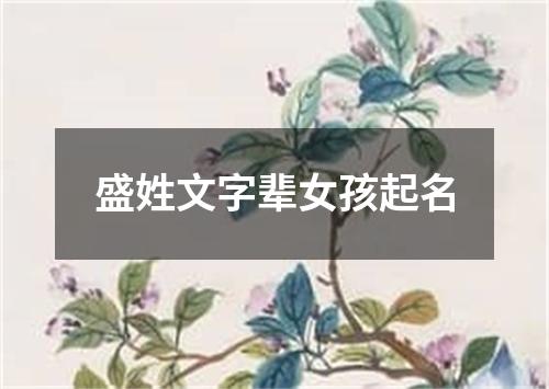 盛姓文字辈女孩起名