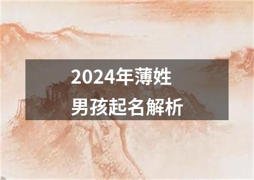 2024年薄姓男孩起名解析