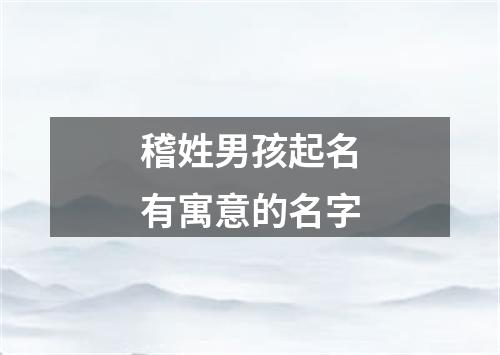 稽姓男孩起名有寓意的名字