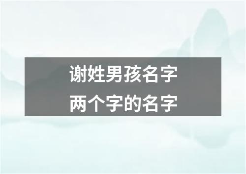 谢姓男孩名字两个字的名字