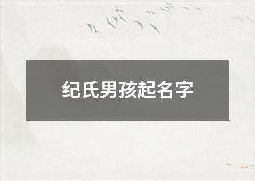 纪氏男孩起名字