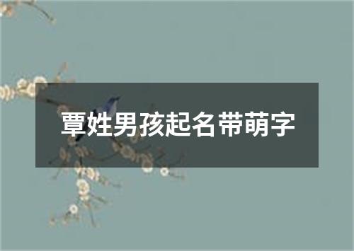 覃姓男孩起名带萌字