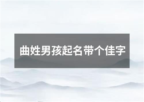 曲姓男孩起名带个佳字