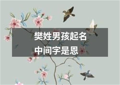 樊姓男孩起名中间字是恩