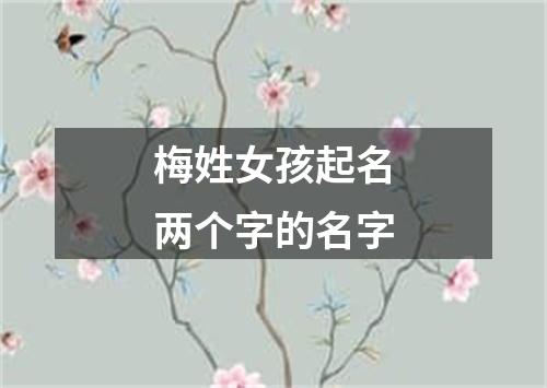 梅姓女孩起名两个字的名字