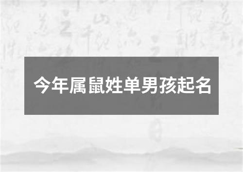 今年属鼠姓单男孩起名