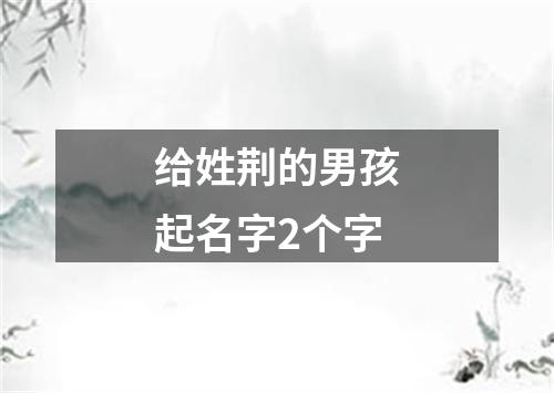 给姓荆的男孩起名字2个字