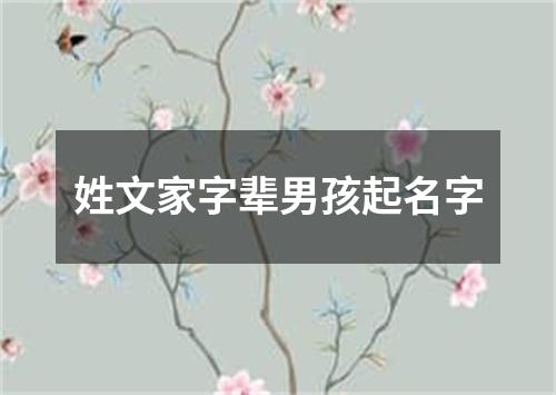 姓文家字辈男孩起名字