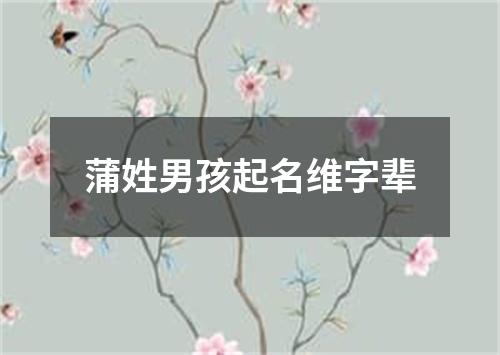 蒲姓男孩起名维字辈