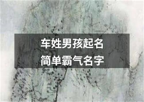 车姓男孩起名简单霸气名字