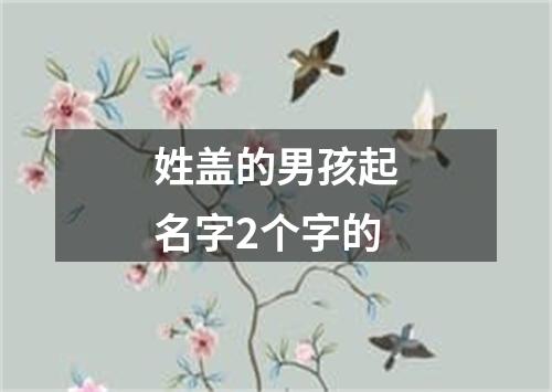 姓盖的男孩起名字2个字的