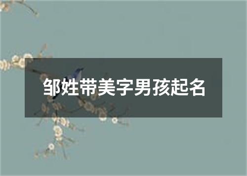 邹姓带美字男孩起名