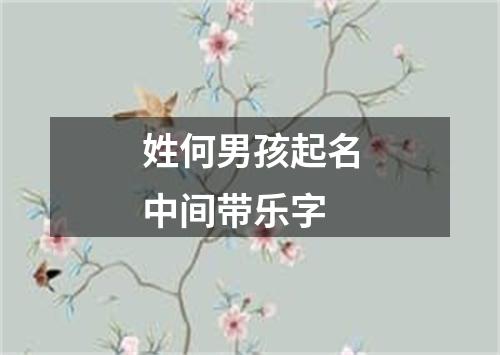 姓何男孩起名中间带乐字