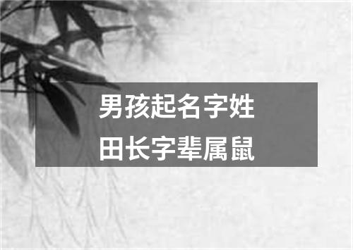 男孩起名字姓田长字辈属鼠