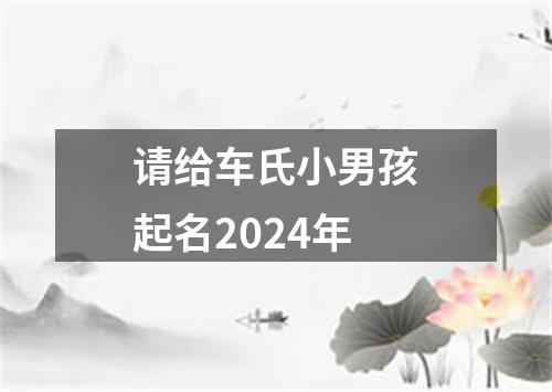 请给车氏小男孩起名2024年